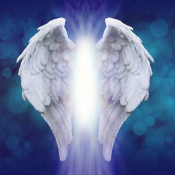 Angel Wings – La Parfumerie Anglaise